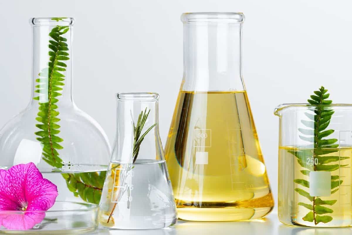 Top 7 Carrier Oils for Natural Skincare Recipes