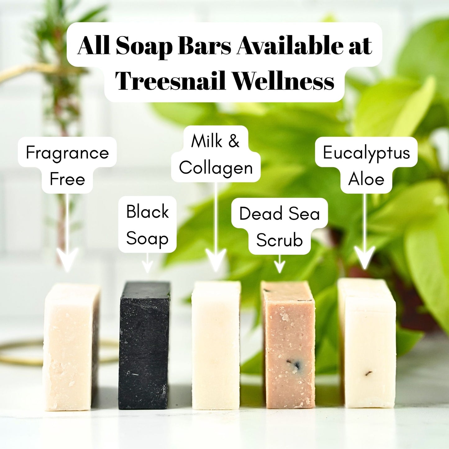 The following soap bars are available at Treesnail Wellness: Fragrance Free, Black Soap, Milk and Collagen, Dead Sea Scrub, and Eucalyptus Aloe.