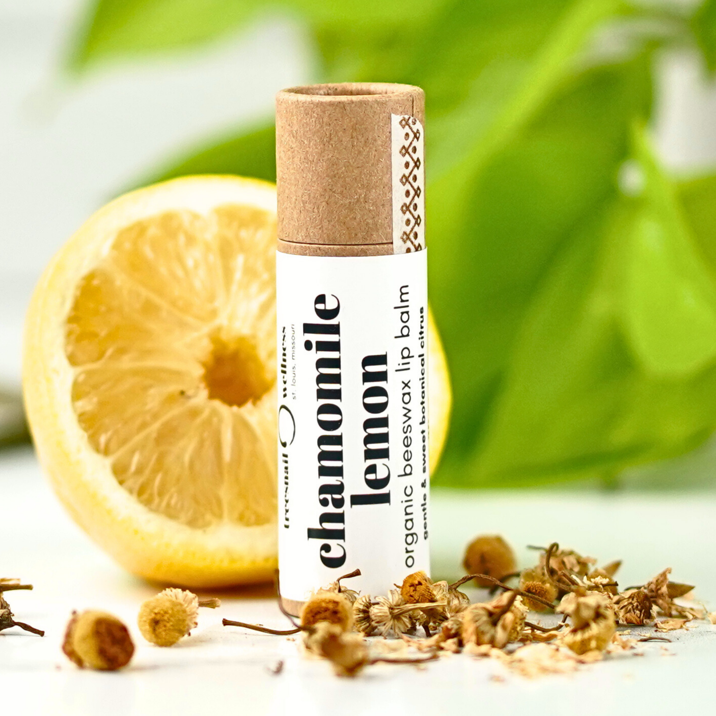 Chamomile Lemon eco-tube lip balm .30 oz plastic-free push-up—German chamomile + lemon, small-batch