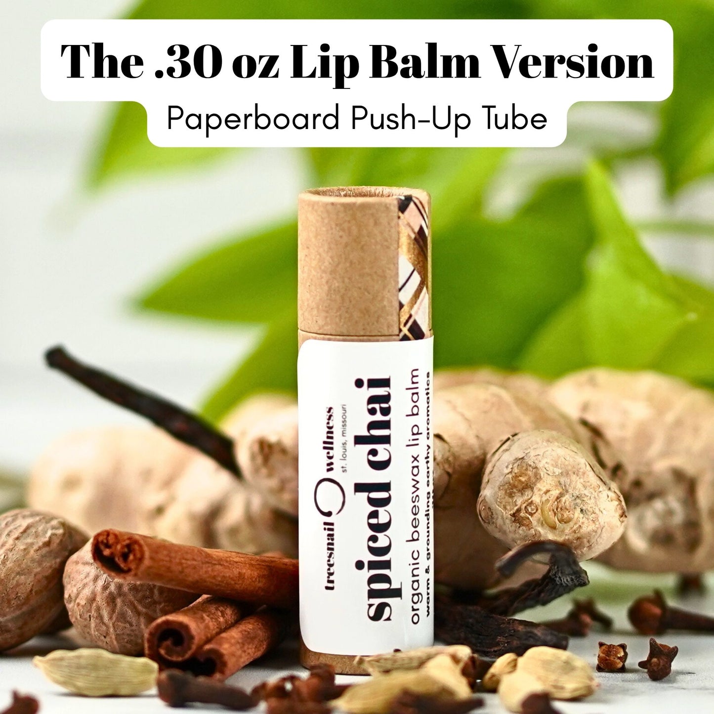 Treesnail Wellness Spiced Chai Organic Lip Balm .30 oz paperboard tube option.