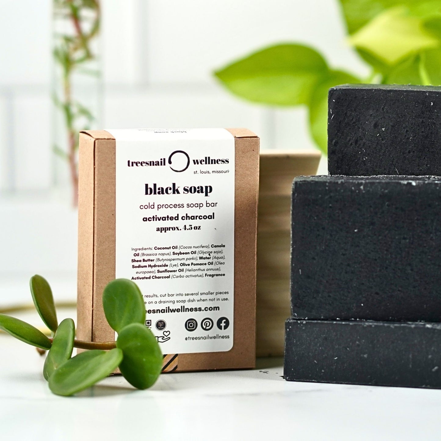 Black Soap Bar by Treesnail Wellness packaged inside of a sustainable paperboard box.