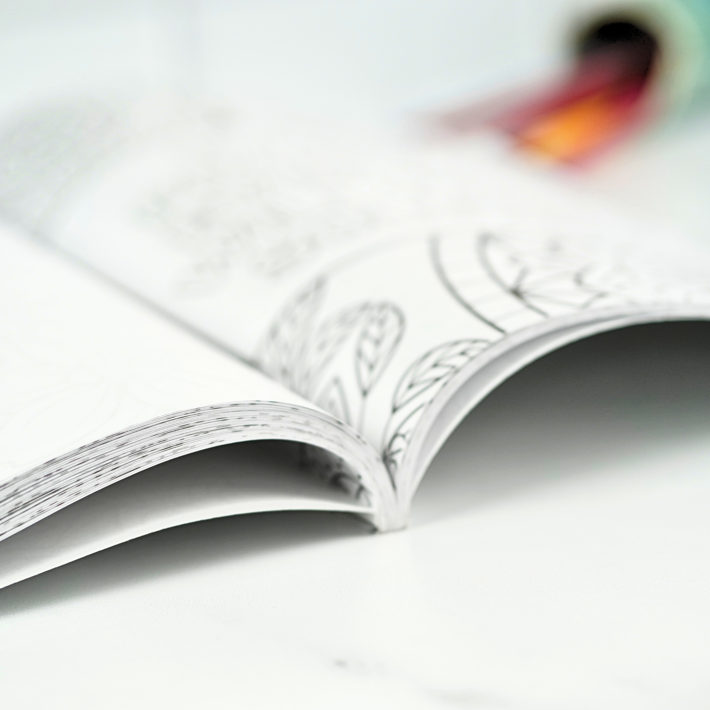 The softcover Affirmation Coloring Book for Women contains 51 black and white coloring sheets.