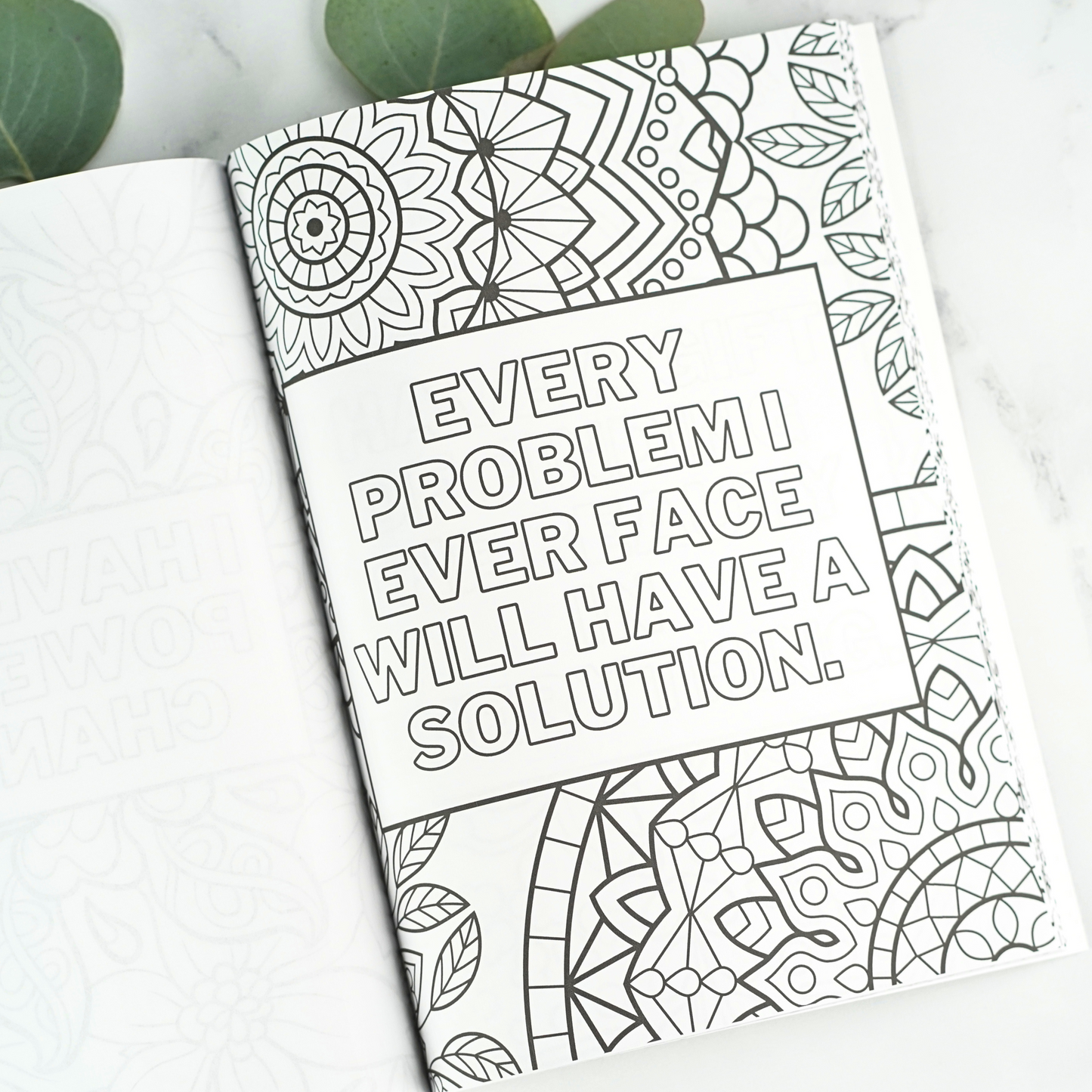 Womens Affirmation Coloring Book Example 2: "Every problem I ever face wil have a solution."