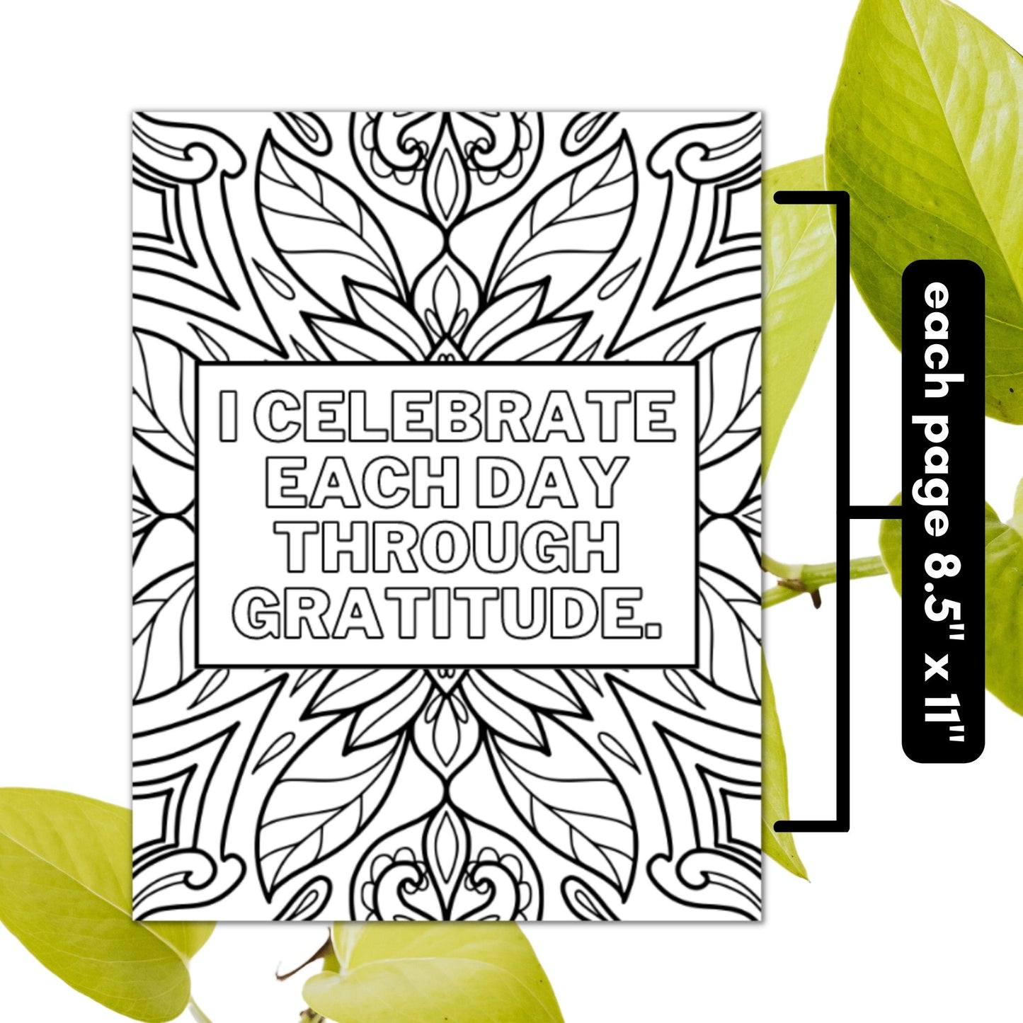 Each printable Womens Affirmation Coloring Page is 8.5" x 11"