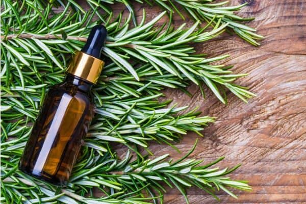 Beard Oil Packaging Guide (for Ecommerce Businesses)