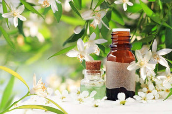 an essential oil bottle in front of jasmine flowers