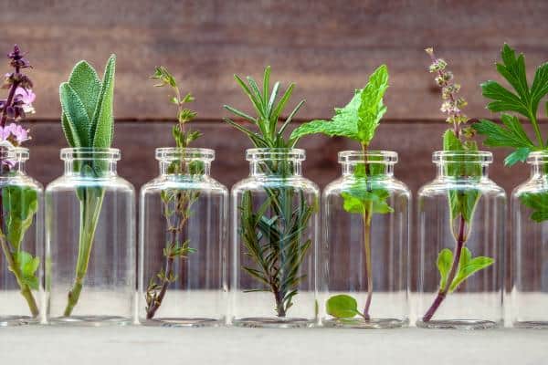 Bulk Purchasing Tips for Small-Batch Skincare Entrepreneurs