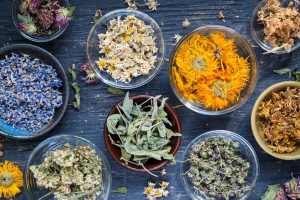 Flatlay shot of dried herbs and botanicals
