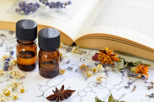 Holistic Skincare and Plant-Based Products
