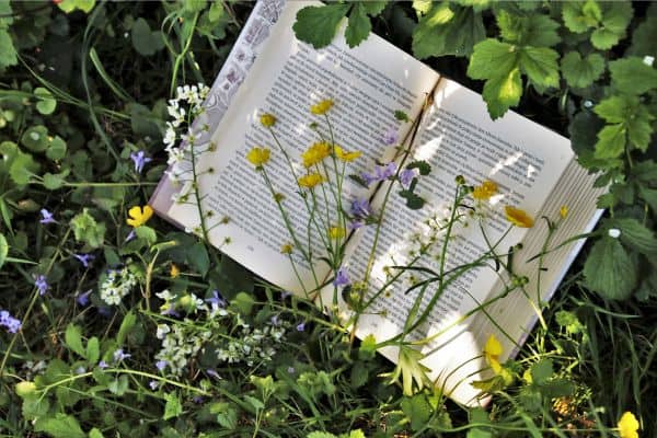 Recommended Reading List for Skincare Entrepreneurs