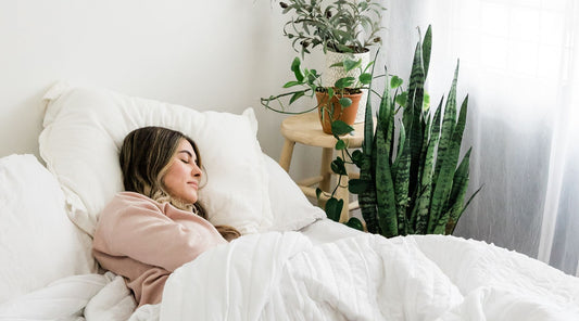 Holistic Skincare and Sleep