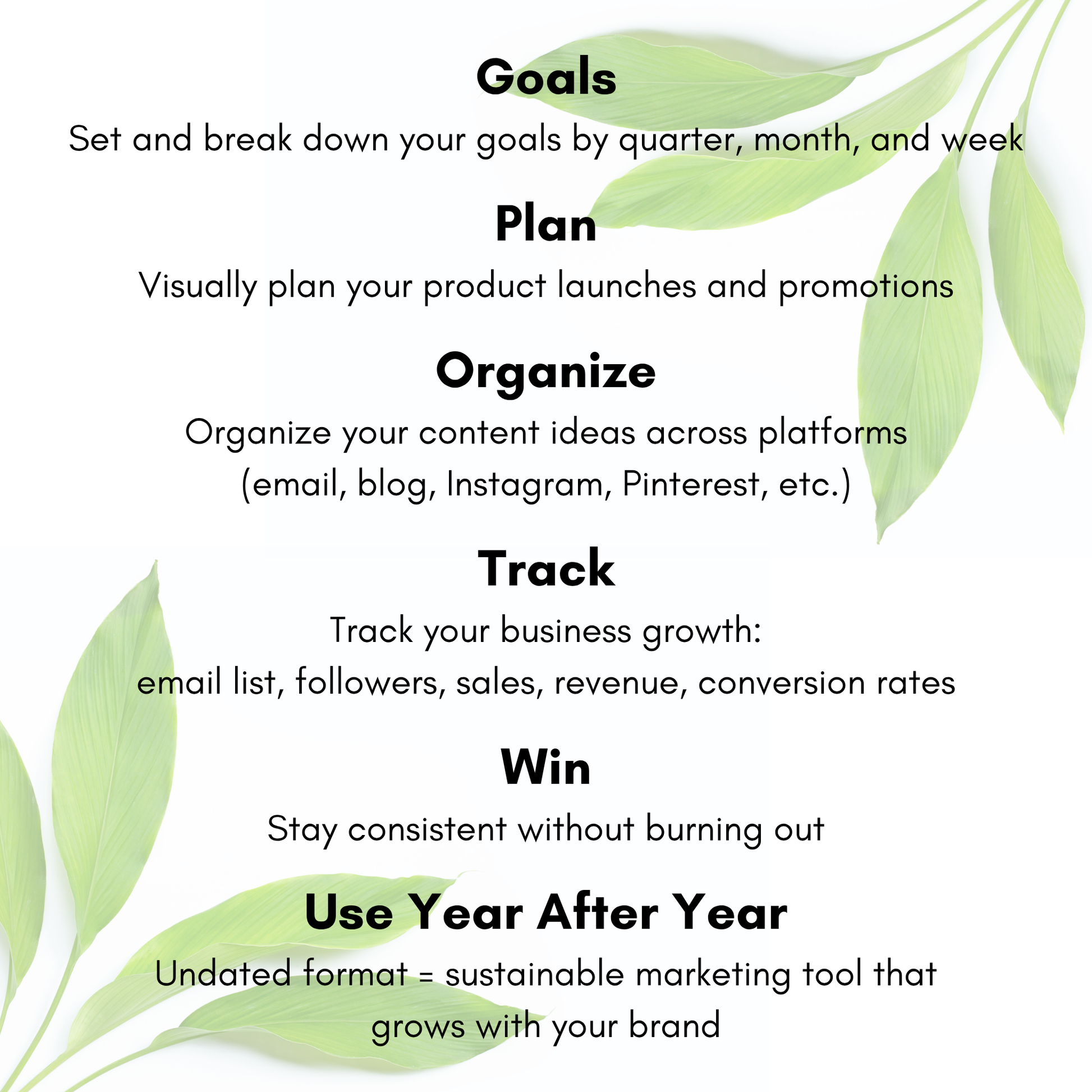 Text-based motivational or organizational advice with green leaves on a white background