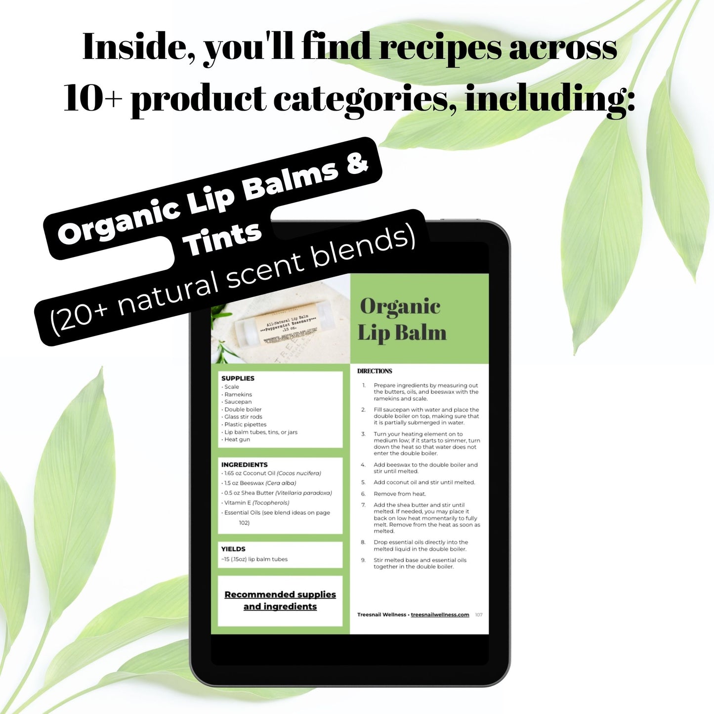 Natural Skincare Recipe Collection (Digital Download)