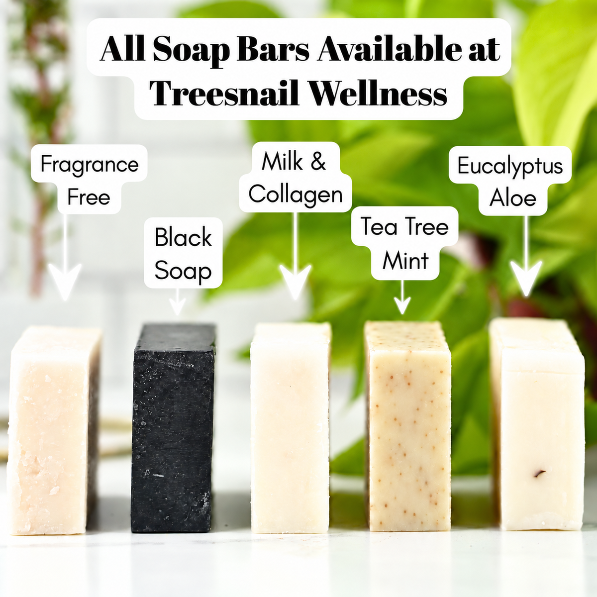 Tea Tree Mint Natural Soap Bar (Refreshing + Exfoliating)