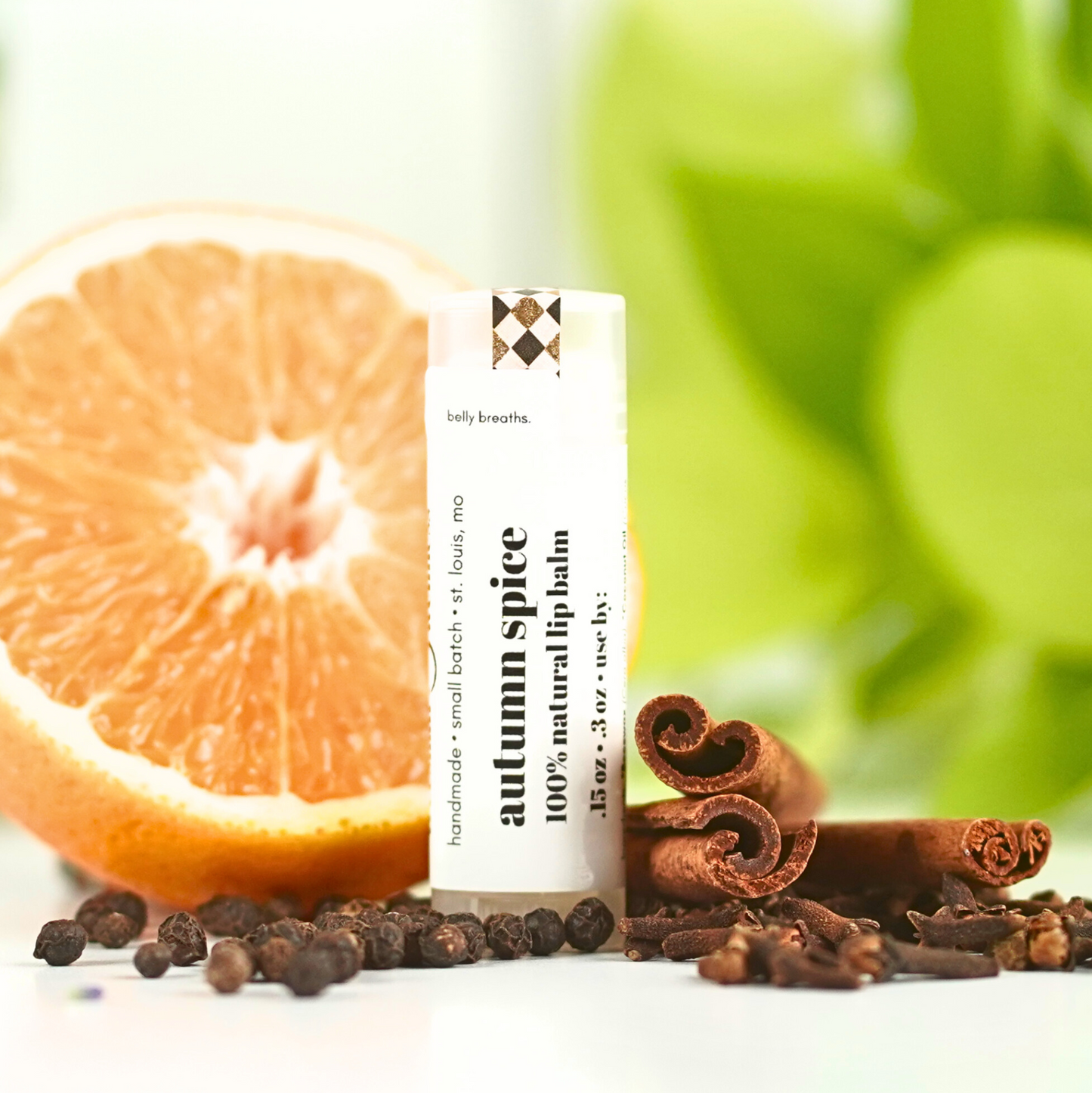 Autumn Spice Natural Lip Balm