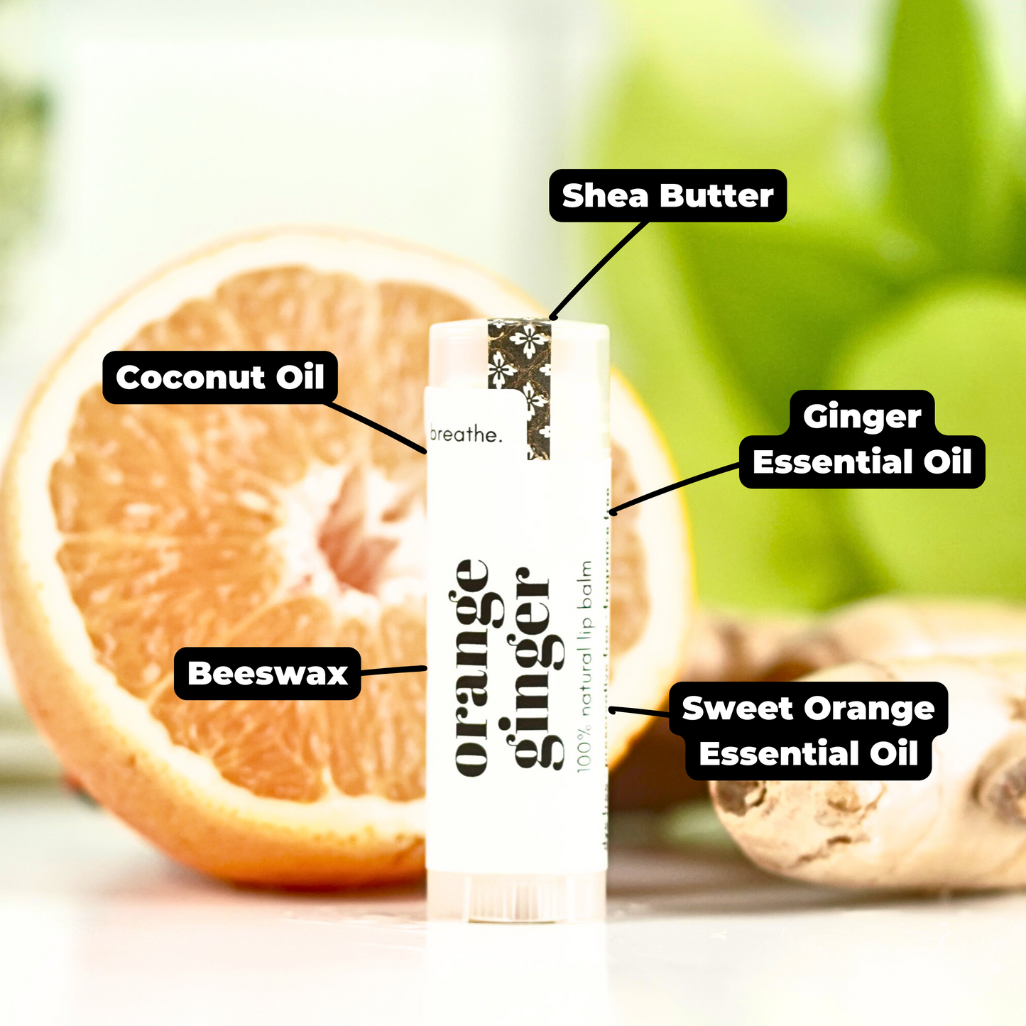 Orange Ginger Natural Lip Balm