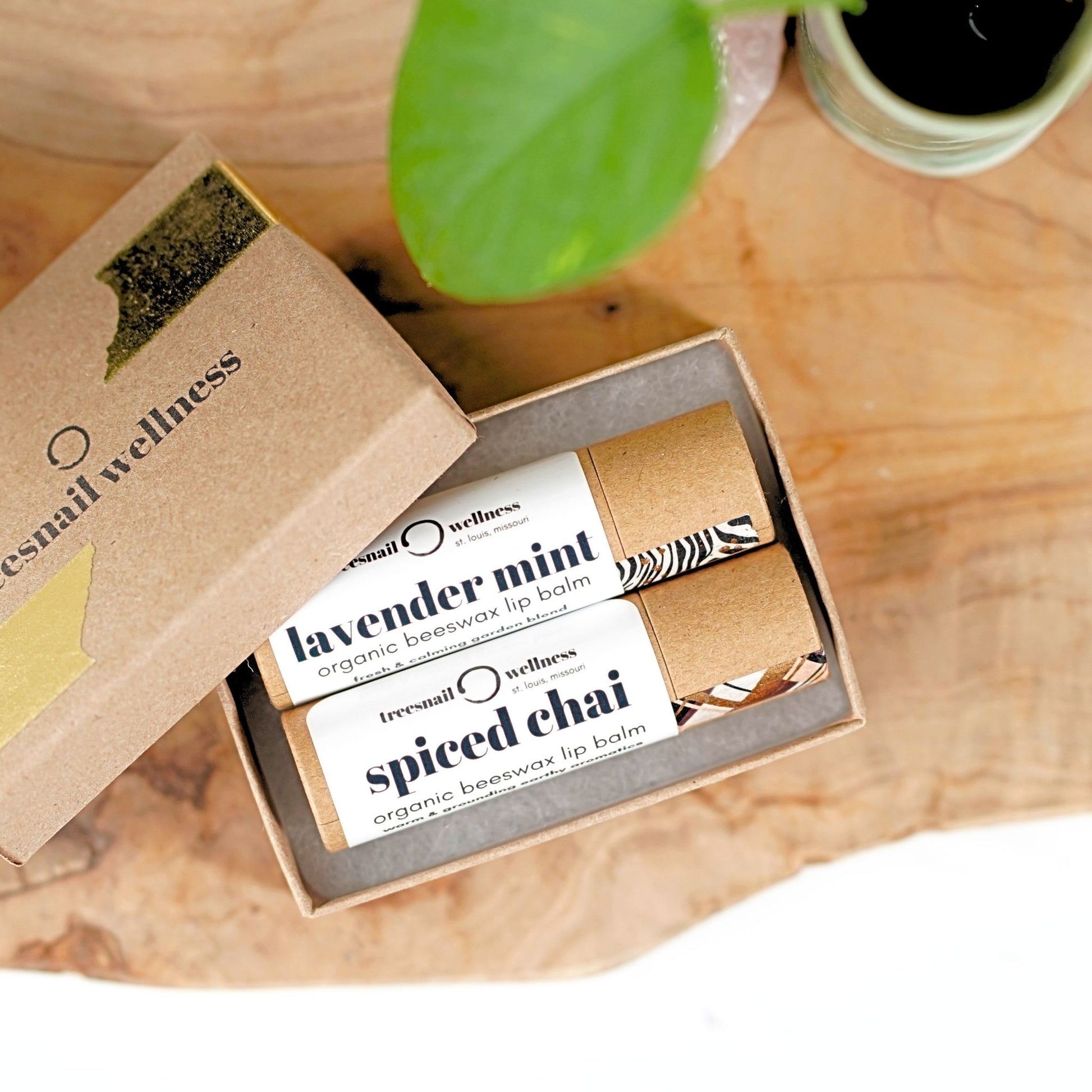 Mix & Match set of 2 plastic-free .30 oz organic lip balms—paperboard gift box with black satin ribbon, assorted essential-oil scents