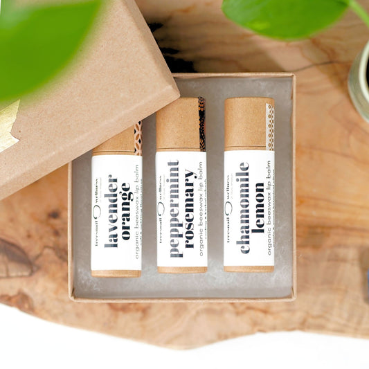 Mix & Match Set of 3 Organic Lip Balms • Plastic-Free .30 oz (Ready to Gift)