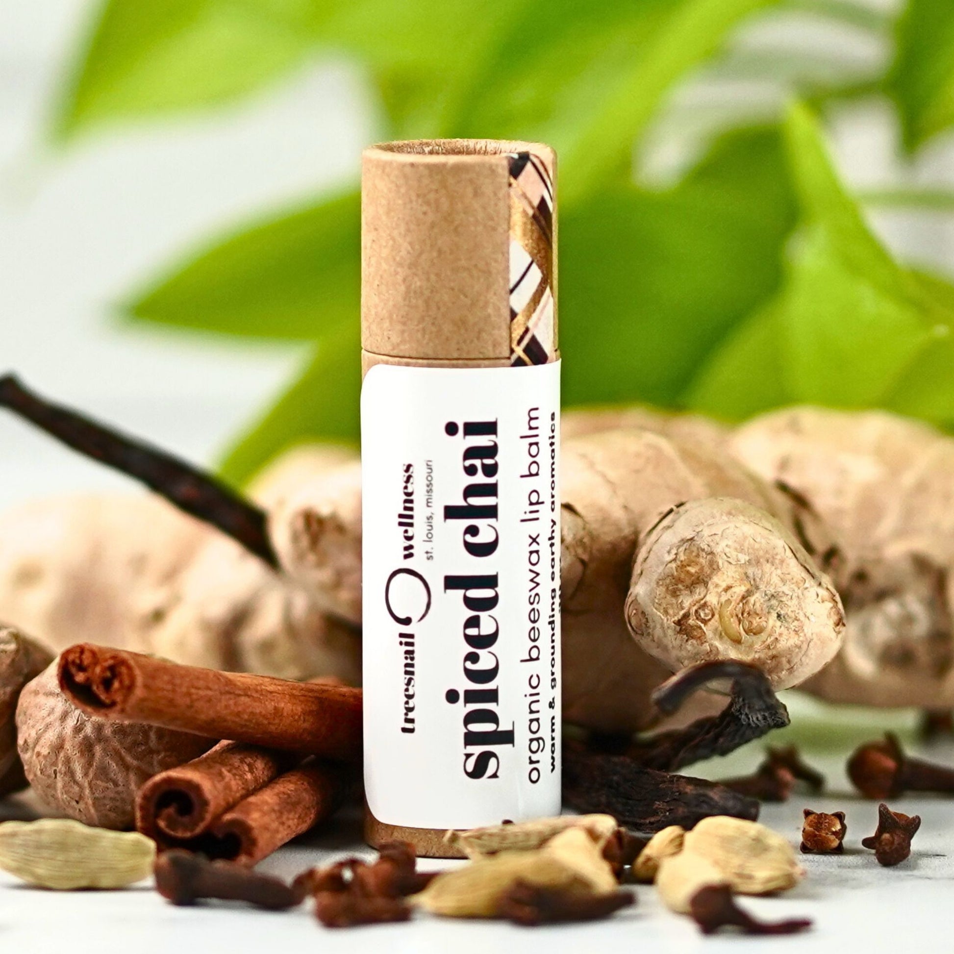 Spiced Chai eco-tube lip balm .30 oz plastic-free push-up—warming cinnamon, clove, cardamom, ginger
