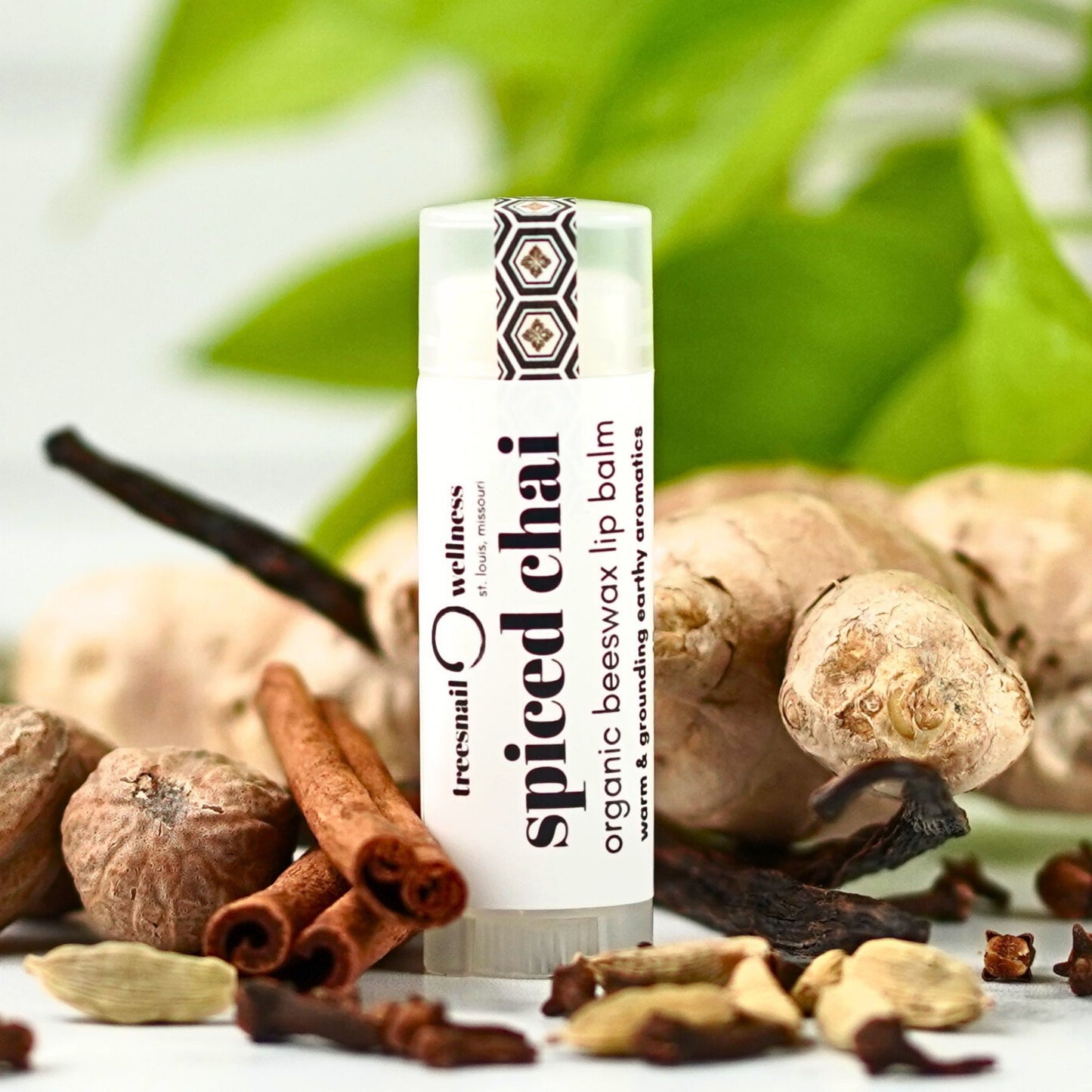 Spiced Chai natural lip balm .15 oz plastic twist-up—cinnamon, clove, cardamom, ginger