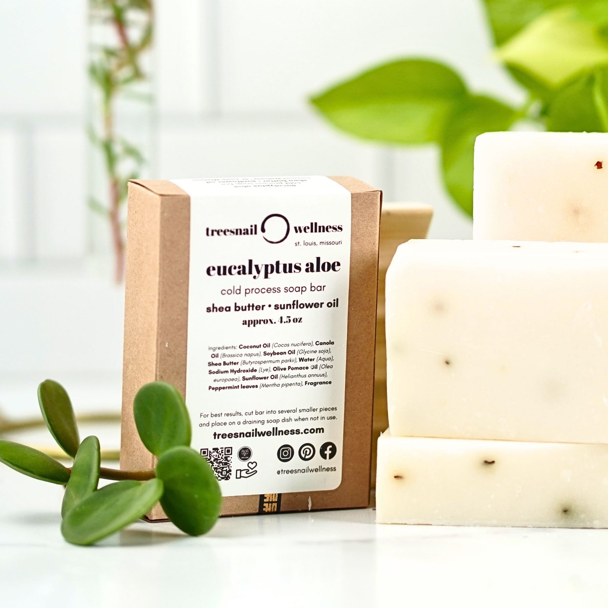 Eucalyptus Aloe Soap Bar by Treesnail Wellness, packaged in a sustainable paperboard box.