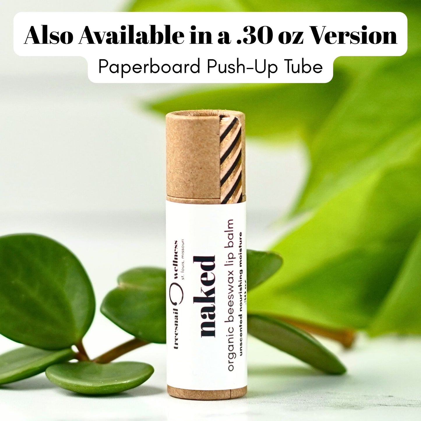 Lip balm with a paperboard push-up tube on a light background with green leaves.